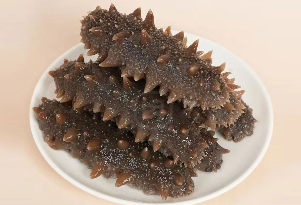 即食海参 金泰达海参