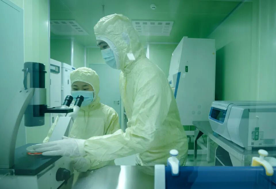细胞制剂制备技术服务 泰鸿生物